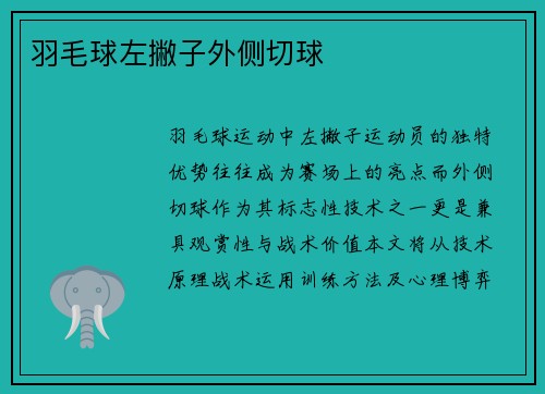 羽毛球左撇子外侧切球
